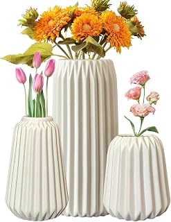 Craft Decorative Set, Pampas Grass, Ceramic Vases, Rustic Set of 3 White Flower Shelves for Home, Office, Cafe