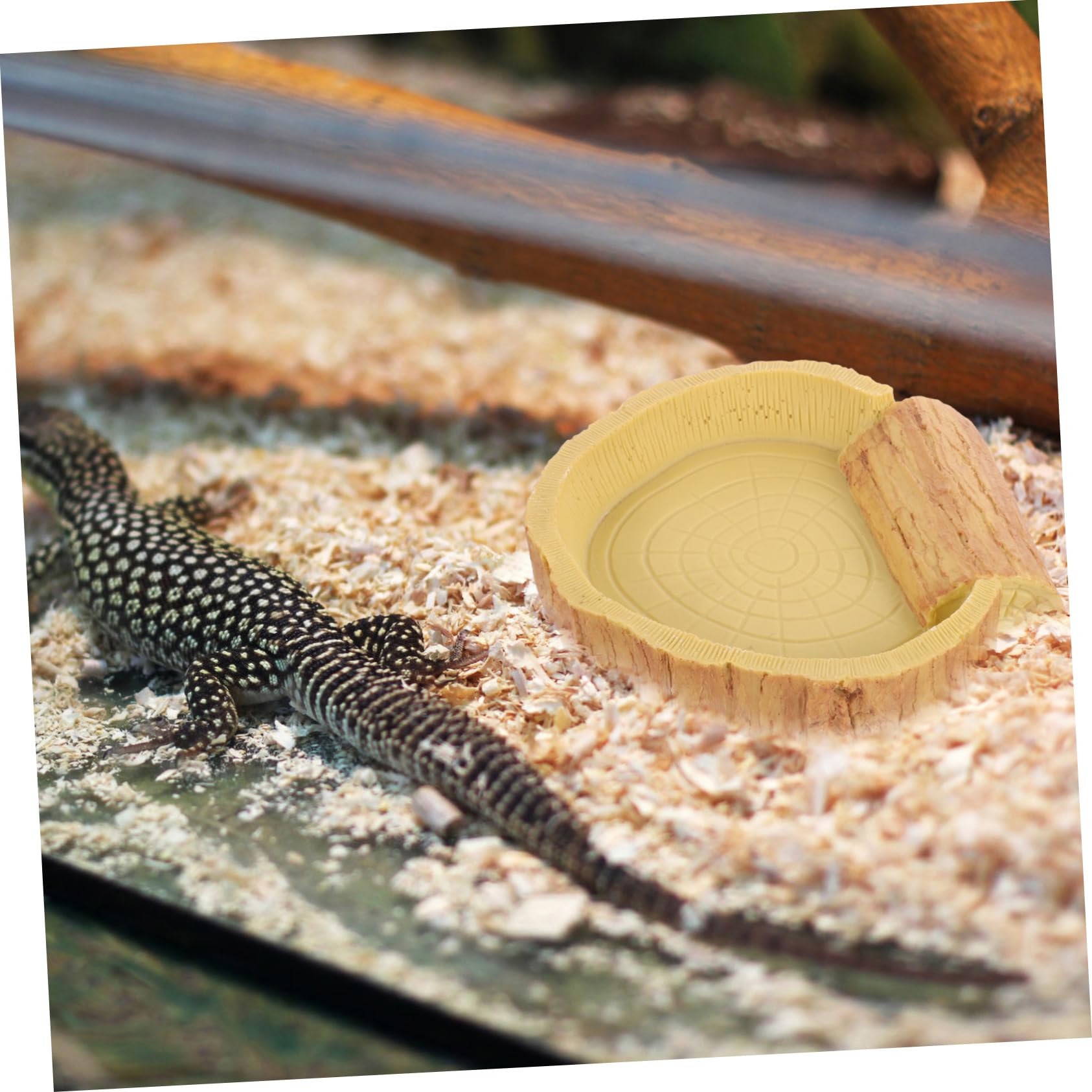 Hemobllo Ciotola Mangiatoia per Rettili in Resina Arancia per Terrario | Adatta a Cibo e Acqua, Facile da Pulire, Facile da Spostare, Struttura Sicura per Uso Quotidiano