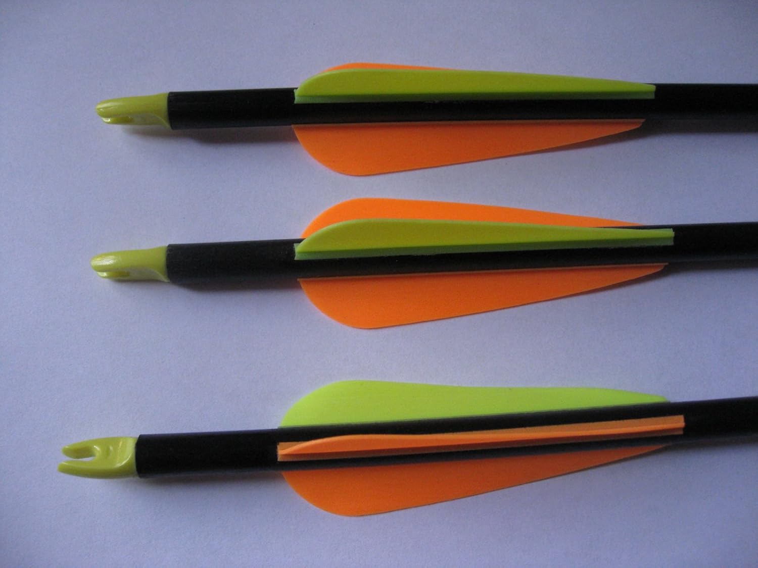 Golden Power 12 PCS 30" Fiberglass Practice/Hunting Arrows W/Changeable Point for Compound Bow Sold by GP Archery