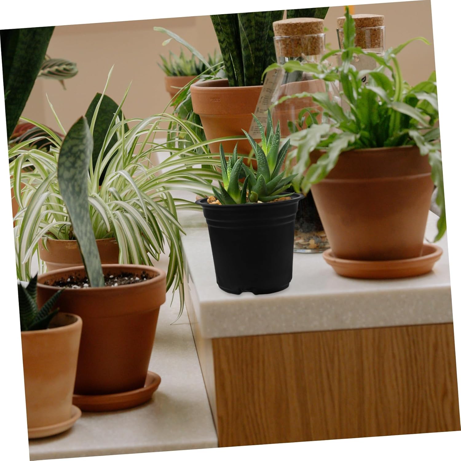 Happyyami 100pcs Plastic Pots Drainage Nursery Planter for Plants for Home Gardening and Landscape Use