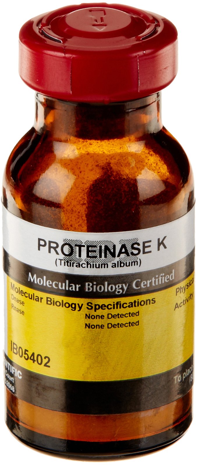 IB05402 Proteinase K Enzyme 200mg product thumbnail 2