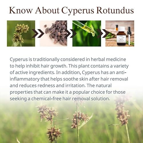 Miniatura 6 de Aceite Cyperus Rotundus para depilación, 2 paquetes  Aceite de Chipre natural 100% puro  Extracto de raíz de ciprés de hierbas orgánicas para una