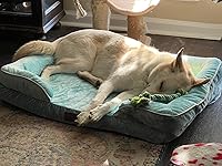 Review Image by Mary Mary