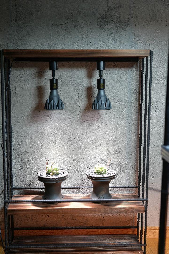 植物育成棚　ダクトレール付き アイアンシェルフ　男前インテリア 6022 植物育成棚 ダクトレール付き アイアンシェルフ 男前インテリア 6022