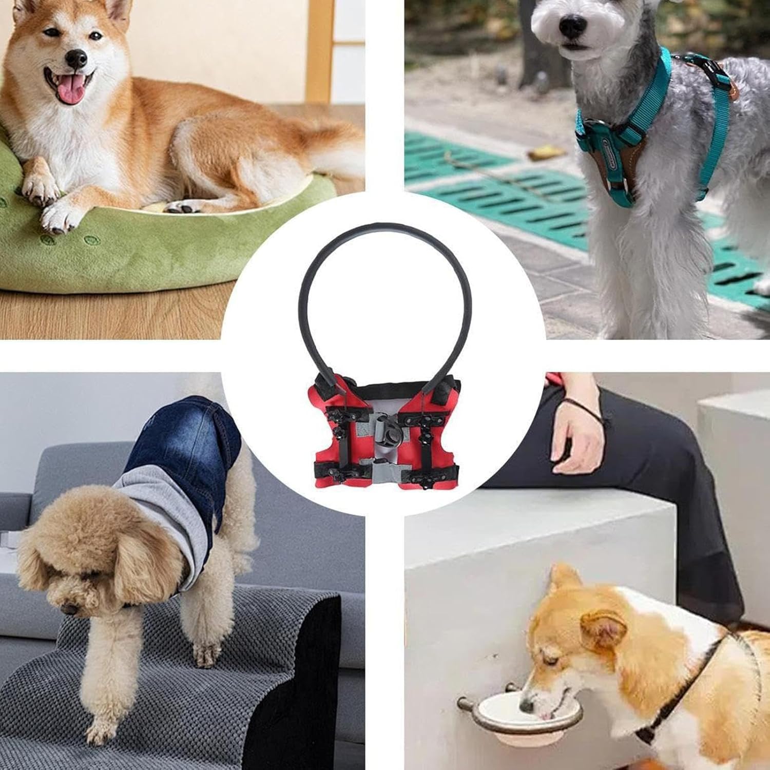 Protector Blind Dogs, Halo Collar Protector for Blind Dogs, Protection Accessory for Collar Guides Cats with Poor Vision and Blindness Outdoor Safety 5