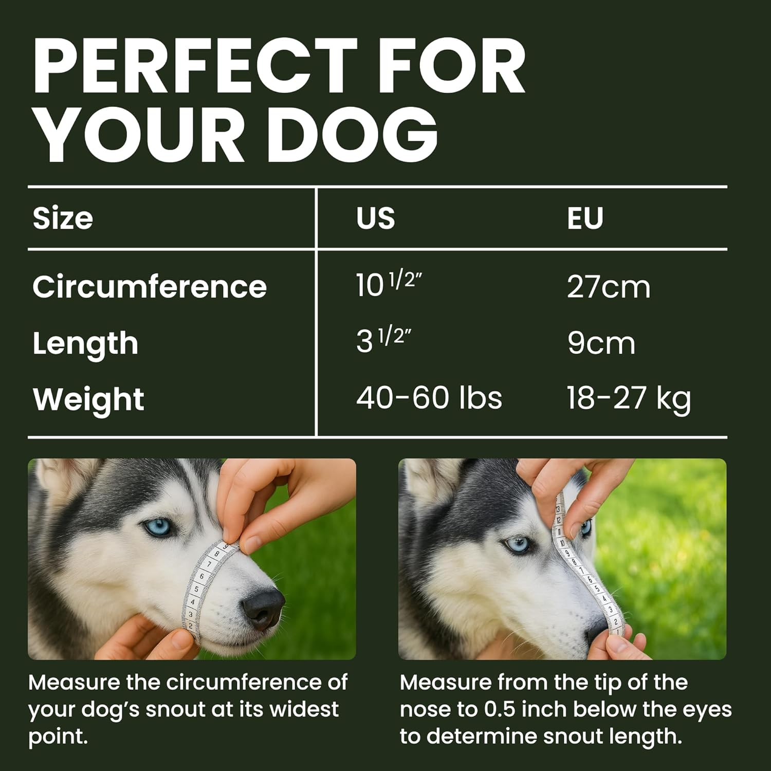 Botniță BRONZEDOG în utilizare