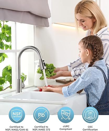 Vista 166 de WOWOW - Grifo de cocina cromado con rociador, grifo de fregadero de cocina extraíble de acero inoxidable con placa de cubierta, grifo de cocina