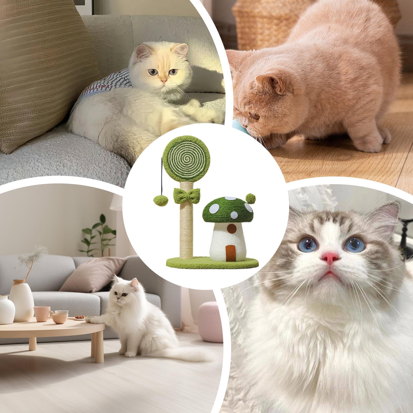 Torre Rampicante Per Gatti Pannello Sisal Fungo Arrampicata E Tiragraffi, | Centro Attività Torre Grattatoio Gatti per Casa Dormitorio Appartamento Piccoli Spazi e Area Giochi