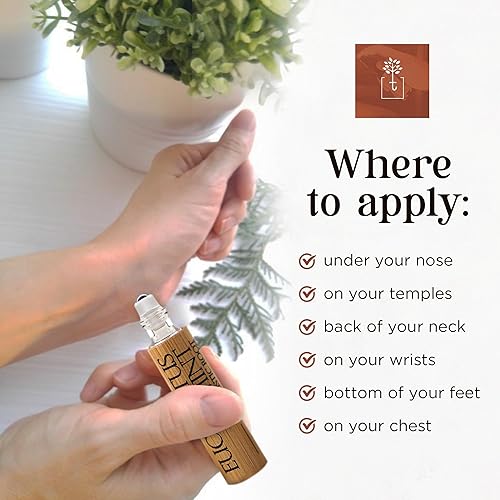 Miniatura 6 de Aceite esencial de eucalipto y menta, mezcla de aceites esenciales, aceite esencial de eucalipto, rodillo de aceite esencial de menta, productos de