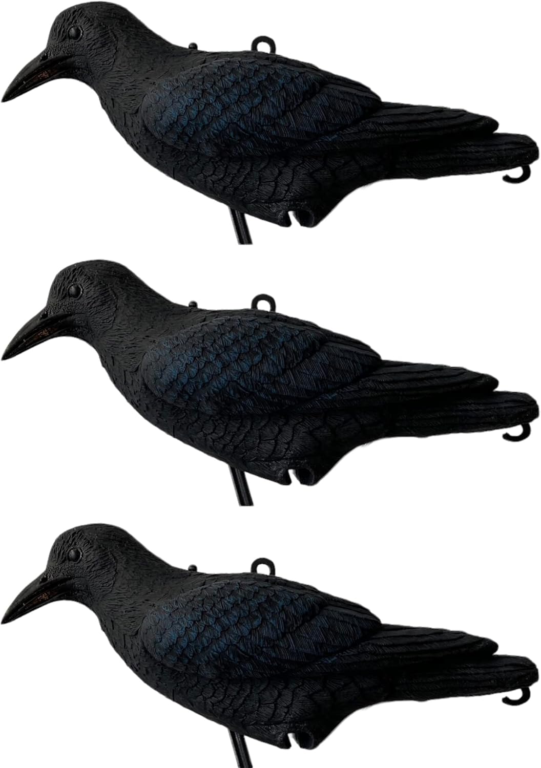 GMM Corvo Nero Flex Gigante Il più Realistico, 43cm, Scaccia Piccioni ...