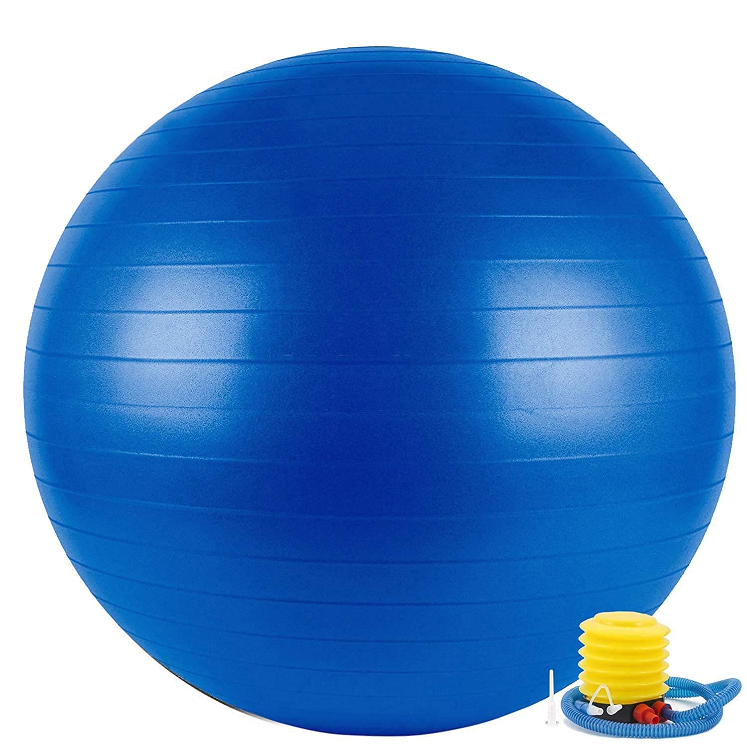 Lexazo Gym Ball Fitness Exercise Yoga Ball Gymnastic Ball Anti Burst and Slip Resistance with Foot Pump for Men and Women - Diameter 65cm (B09J1BR7BV) Amazon Price History, Amazon Price Tracker