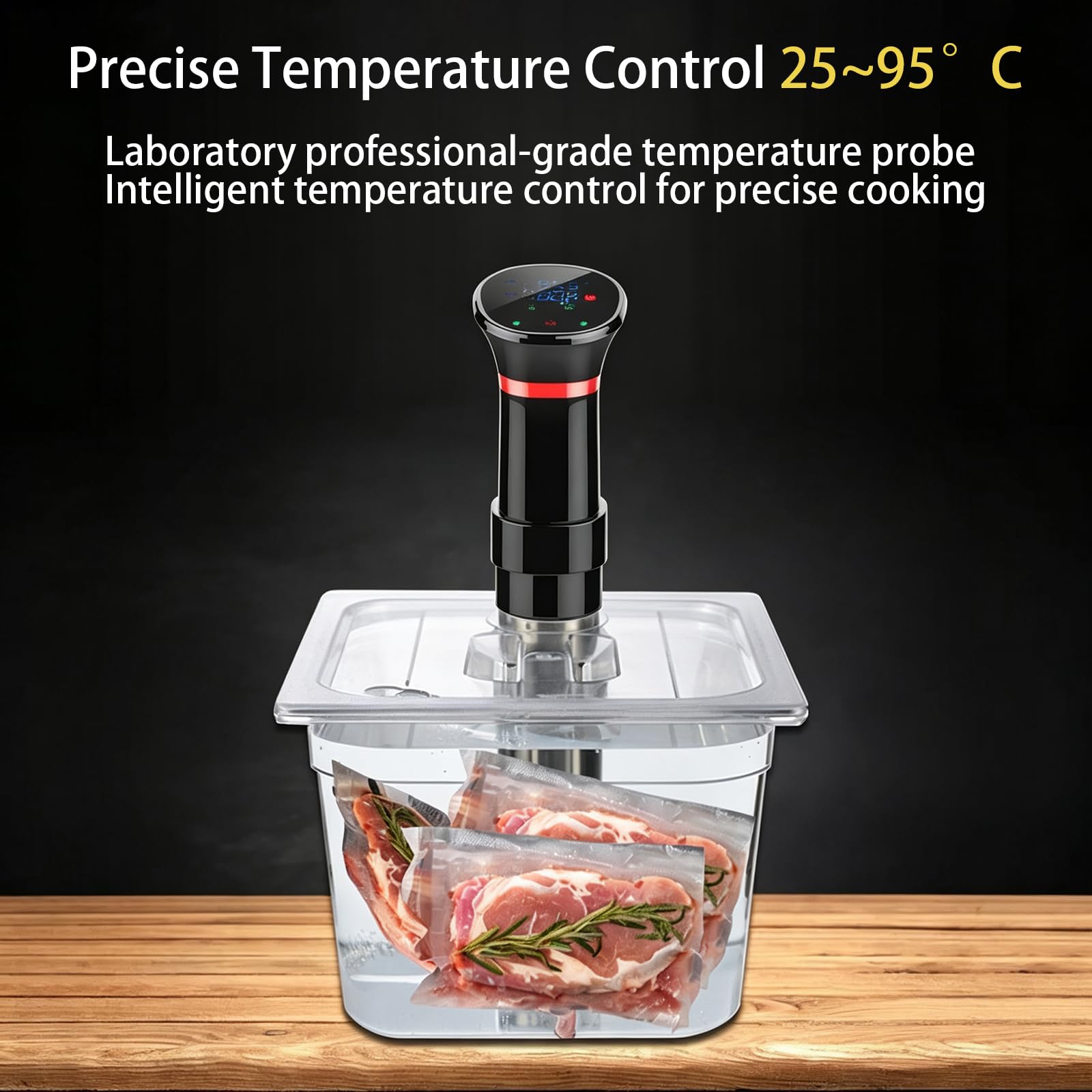 Cuiseur Sous Vide de Précision Circulateur à Immersion avec Minuterie