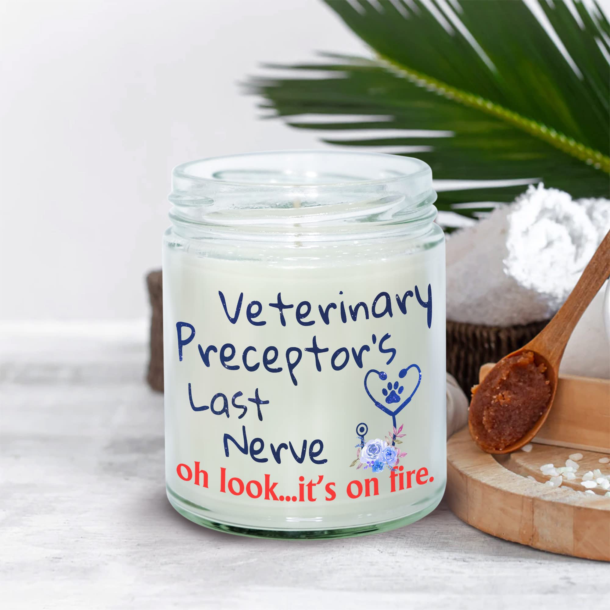 MEDROC Vet Preceptor Vanilla Candle, Vet Preceptor's Last Nerve Funny Gift from Vet Student, Birthday Christmas Vet Tech Week Decor, Veterinary Instructor Relaxation Gift