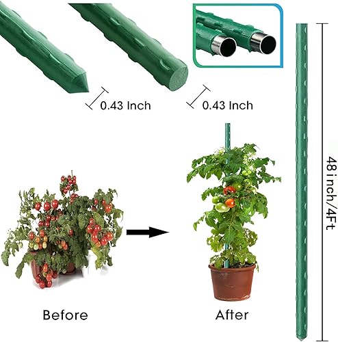 Miniatura 7 de Estacas de jardín resistentes de 24 pulgadas de 2 pies, estacas de tomate para verduras, paquete de 20