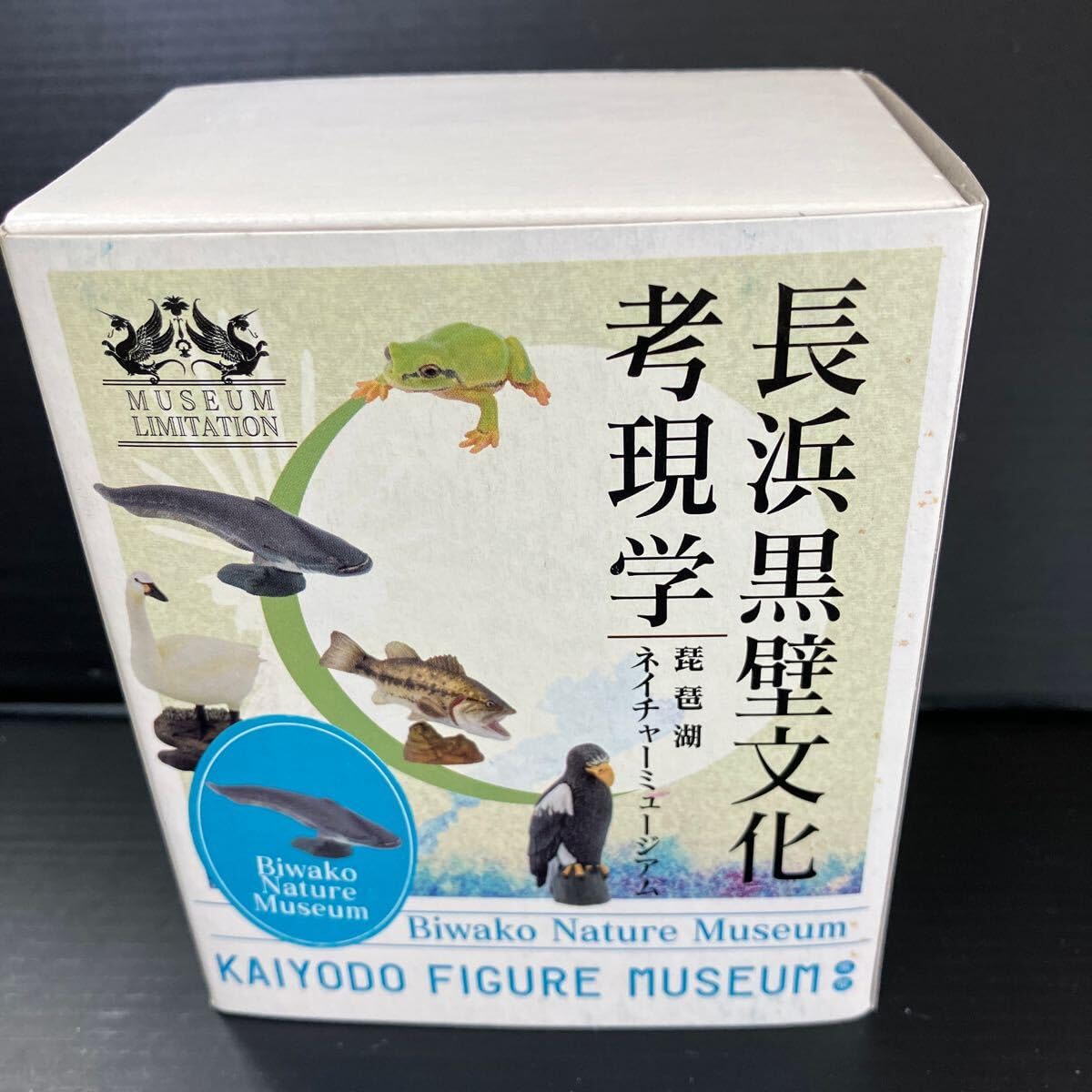 Amazon | 海洋堂フィギュアミュージアム黒壁 長浜黒壁文化考現学 