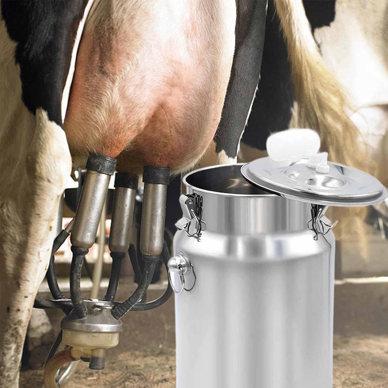 Cubo profesional para ordeñadora de 10 L, diseño de acero inoxidable para ganado, ovejas y cabras, accesorios para ordeñadora de vacas