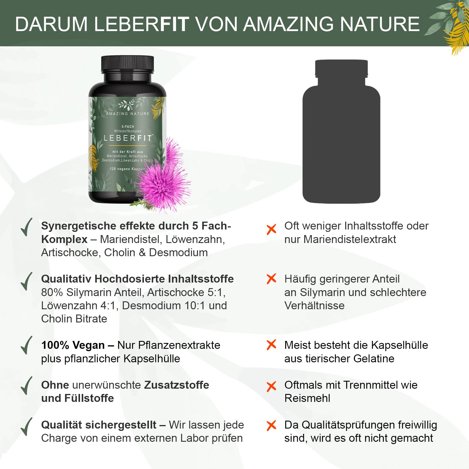 LeberFit Mariendistel Kapseln Hochdosiert 5-Fach Komplex mit Cholin | 80% Silymarin, Cholin & 4 Pflanzenextrakte nur 1 Kapsel täglich, bis zu 4 Monate Vorrat