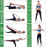 WIKDAY Resistance Bands, Pull Up Bands, Workout Bands for Exercise, Thick Heavy Resistance Band Set with Door Anchor, Elastic Bands for Body Stretching, Crossfit Training at Home/Gym Men & Women Women
