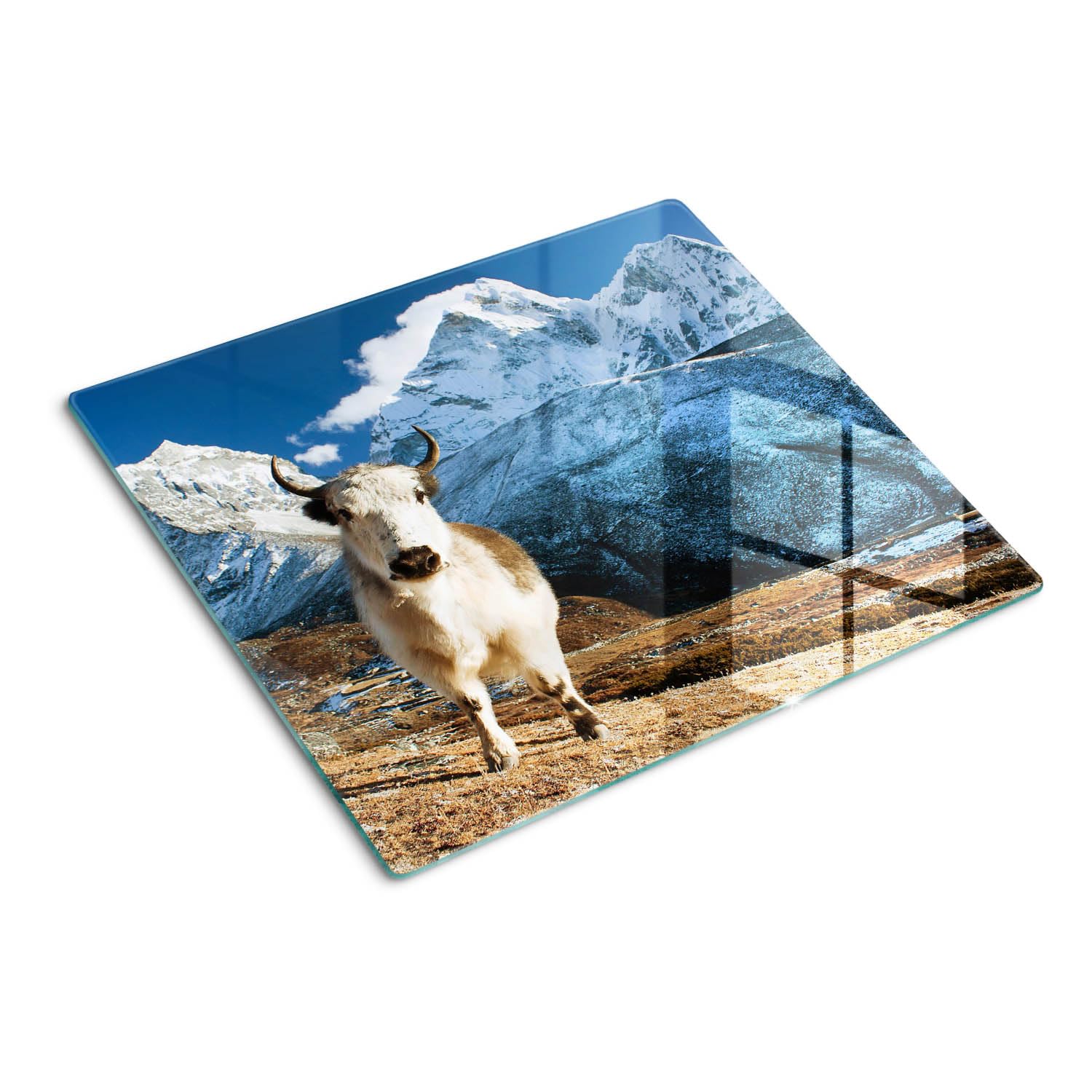 Planche à découper 60x52 cm verre decoration cuisine moderne motif animal de montagne