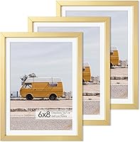Vista 735 de Fun Memories Portarretratos de metal de 16 x 20 pulgadas con paspartú de 11 x 14 pulgadas, acabado de aluminio cepillado, parte delantera de vidrio
