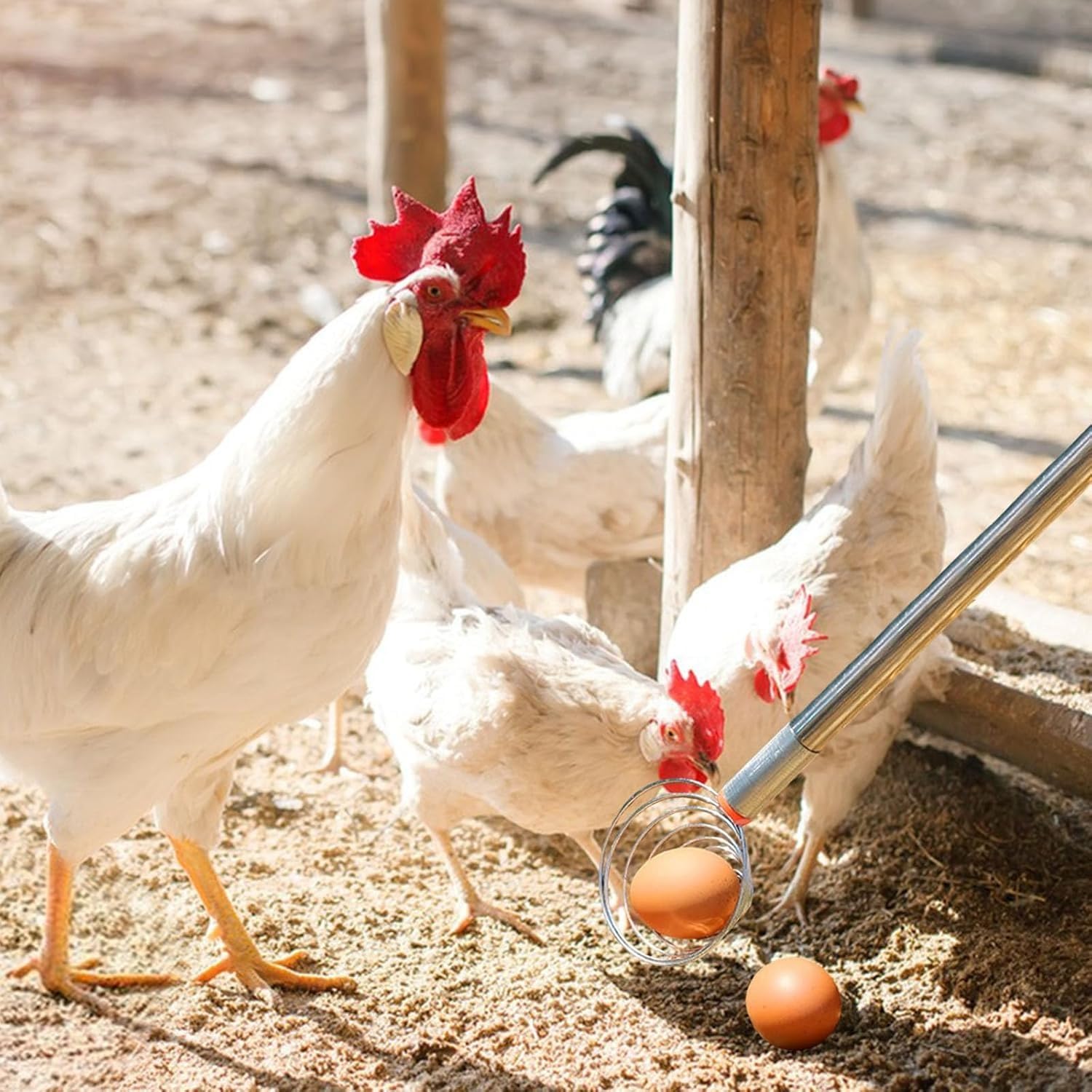 Peanut Picker Egg Grabber 2025 New Stainless Steel Nut Gatherer Egg Grabber Tool Suitable Multifunction Potato Picking for Farm Chicken House Crops Portable Picking Gifts (1 Pcs)