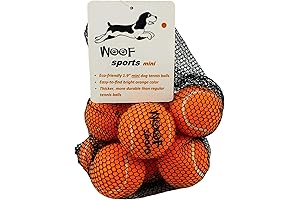Mini Tennis Balls for Small Dogs and Puppies