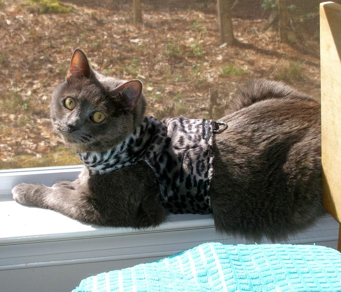 Pet Supplies Mynwood Cat Jacket/Harness Grey Leopard Faux Fur Kitten