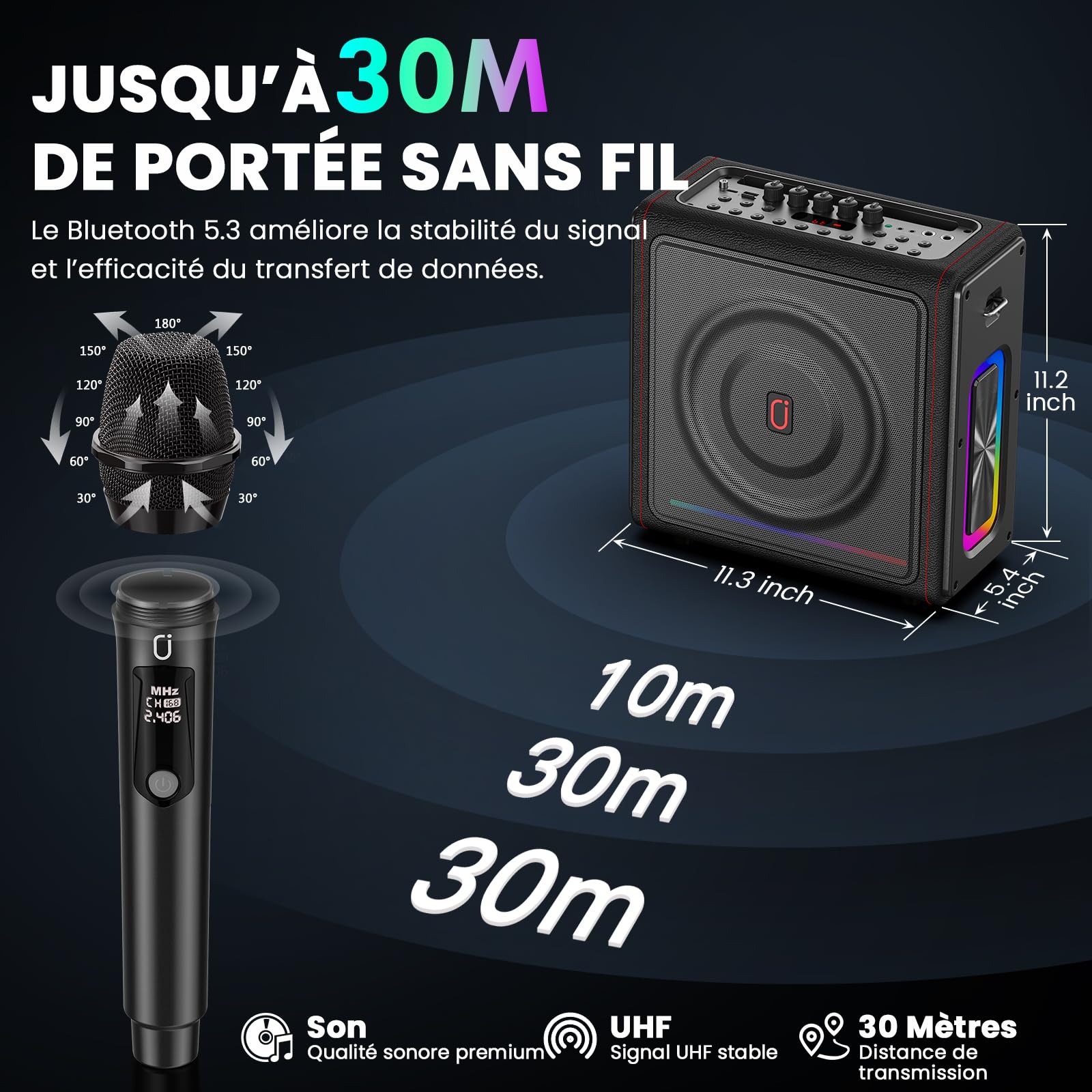 HWWR Machine Karaoke avec 2 Micros sans Fil, Kit karaoké Complet avec LED, 300W Puissance, Autonomie 36h, pour Adulte et Enfants, Système PA Prend en Charge TF/USB, FM, Enregistrement, AUX in et TWS