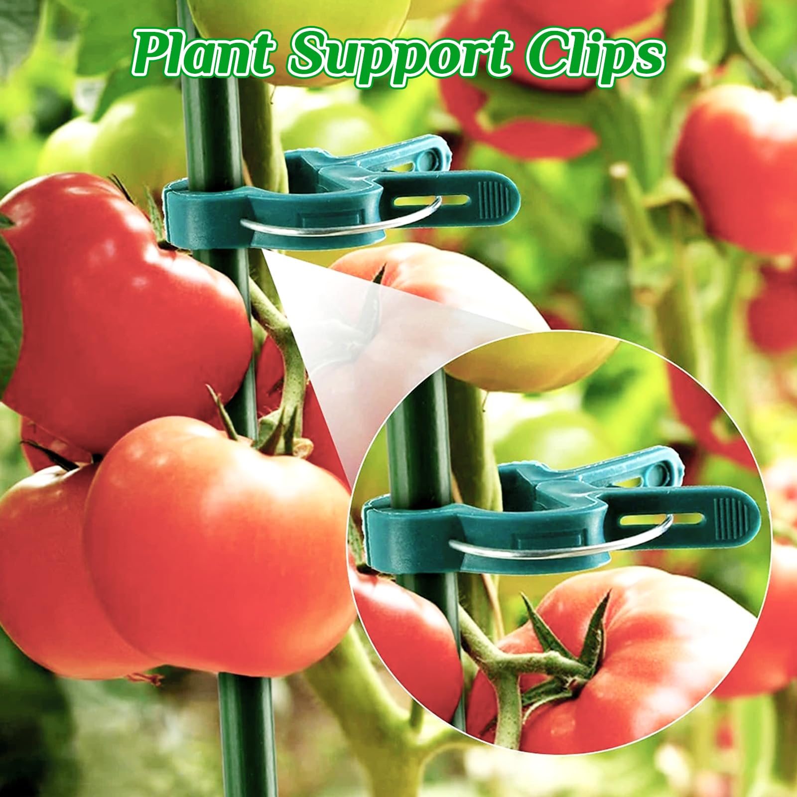 10 Pièces Tuteurs pour Plantes, 25 * 60CM Demi Rond Supports de Plantes Réglables, Jardin Plantes Support Pile Anneau Cage, Anneaux de Support en Métal Demi Ronds pour Pivoines Hortensias Roses Sédum