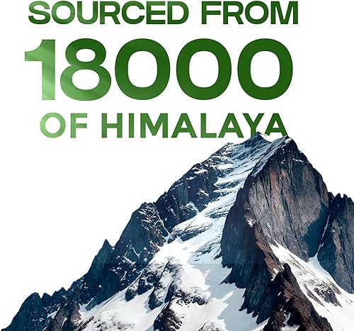 Miniatura 3 de Resina Shilajit pura del Himalaya – Grado dorado de 800 mg | 85+ oligominerales y 75% ácido fúlvico | Apoya la energía, la resistencia y la salud