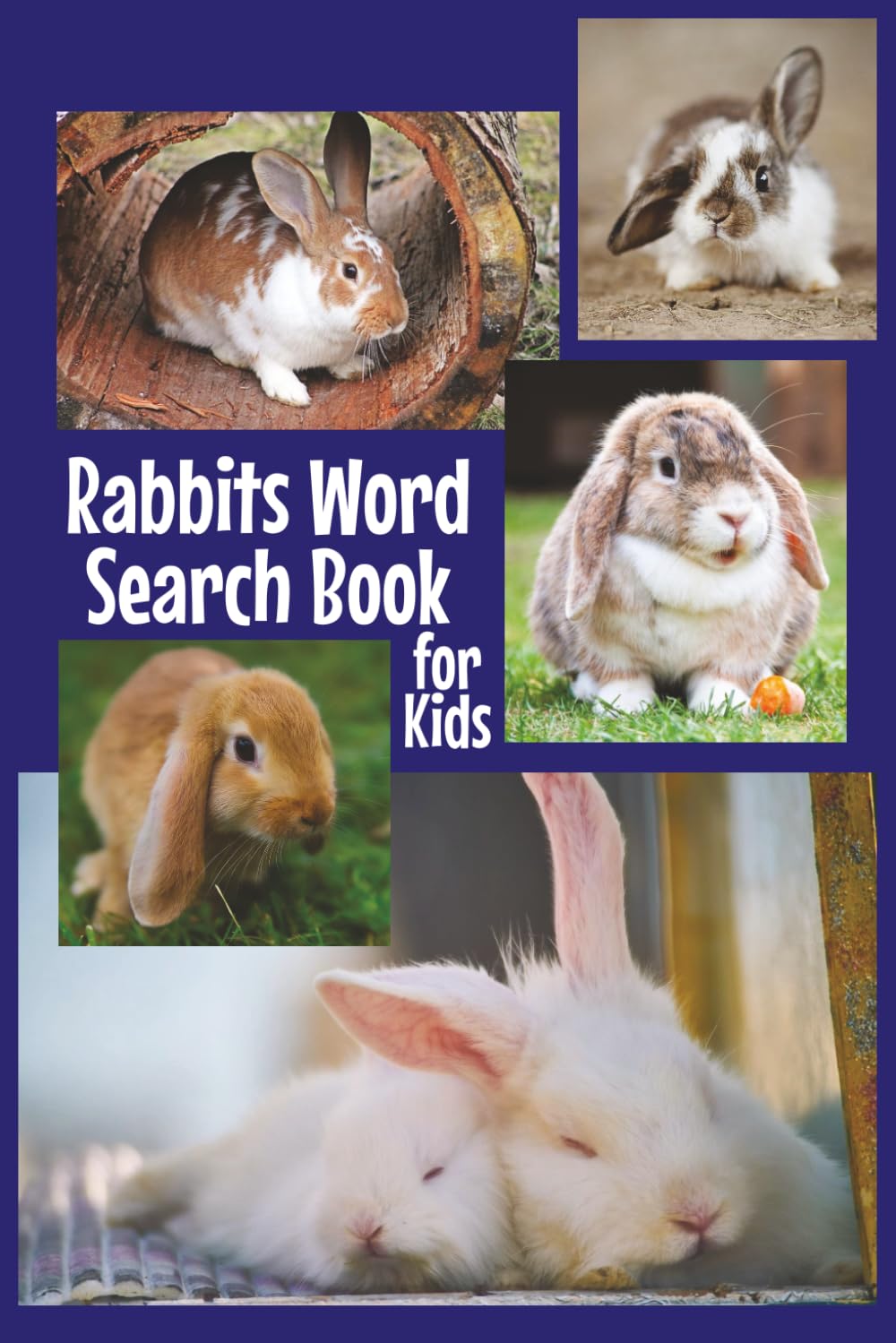 Rabbits Word Search Book for Kids