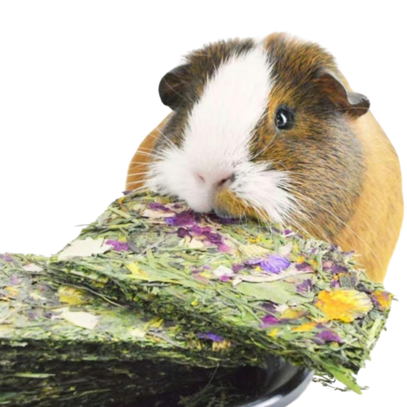 Copfeu 6Pcs Rabbit Chew Toys, Chinchilla Treats for Dental Health, Natural Timothy Hay Chips Chew Treats,Small Animals Snacks for Rabbits, Hamsters,