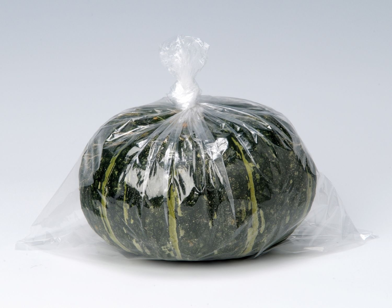 Large U-13 Plastic Bag for Storage