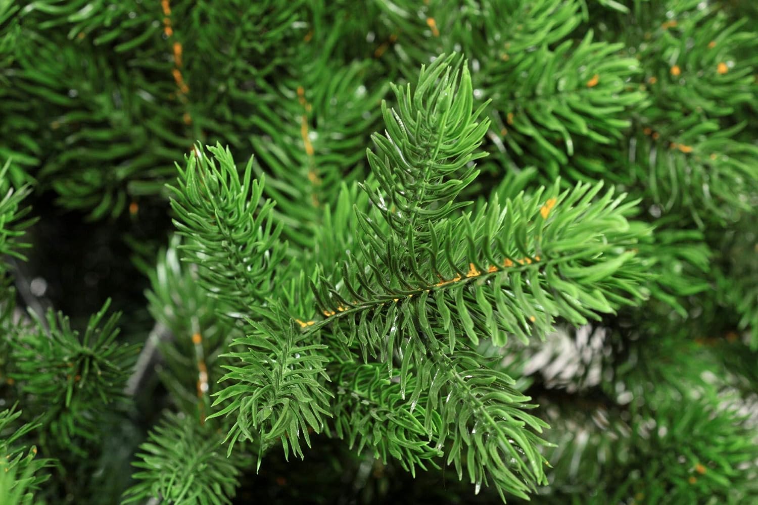 EveXmas – Altair 65cm – Künstlicher Weihnachtsbaum Realistischer Mini Tannenbaum aus 100% PE Spritzguss Nadeln, Premium Tisch Weihnachtsbaum für Weihnachtsdeko Zuhause