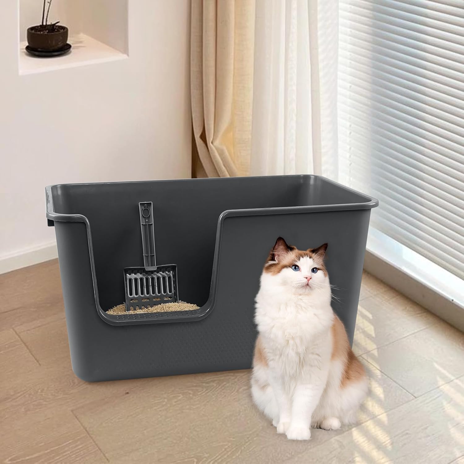 Gloreen 2-Pack Plastic High Sides Cat Litter Box, Open Top Cat Litter Box with Scoop, Grey
