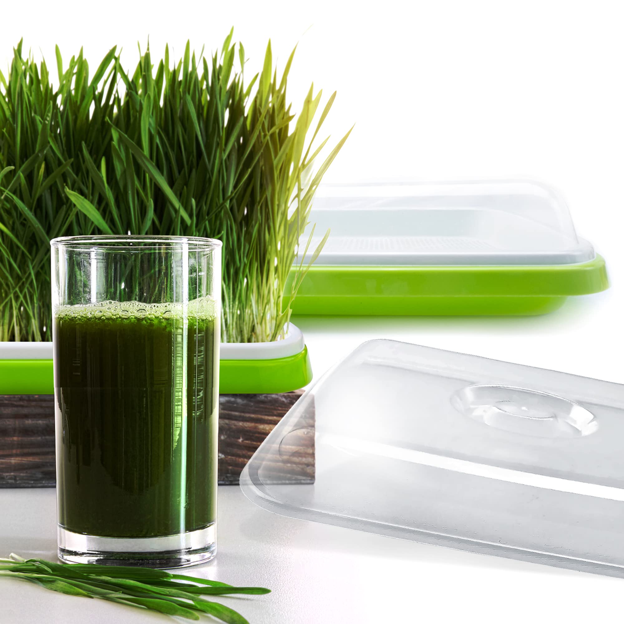 Lot de 5 plateaux de germination de graines avec trous de drainage, plateau d'herbe de blé sans terre avec couvercle, kit de germination des graines sans BPA, pour la maison et le bureau (vert)