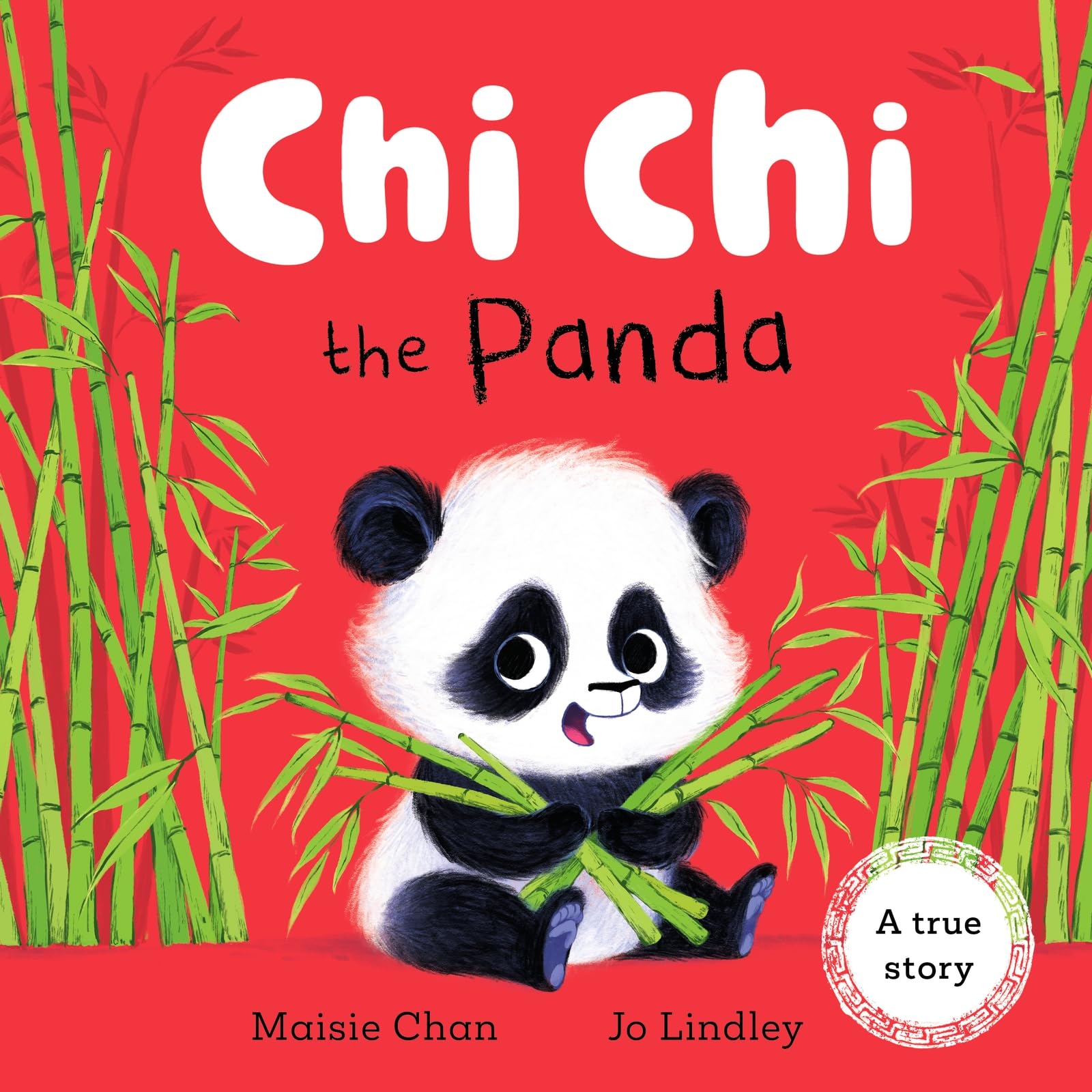Chi Chi the Panda by Maisie Chan Hardback