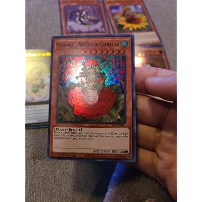 yugioh plant princess deck Amazon.com: Complete Custom Deck for Yu-Gi-Oh!