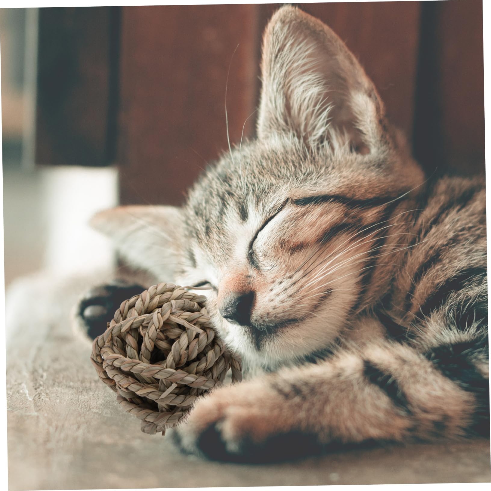 Housoutil 6pezzi Giocattoli Masticabili Rattan Naturale Per Piccoli Animali Palline Da Gioco Per Conigli e Porcellini Sicure Glutine Divertenti e Stimolanti Per Attività Di Rosicchiamento e