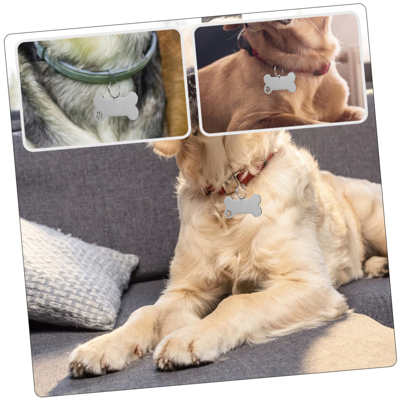 BESPORTBLE 30pezzi Medaglietta Per Personalizzabile Inossidabile Ciondolo Per Collare Incisione Per Accessorio Per Domestici Design e