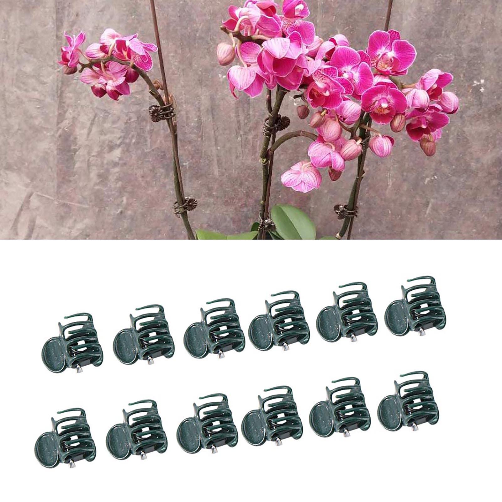 Clip Per Piante 200 Pezzi - Supporti Per Pomodori, Rose, Orchidee, Giardinaggio Verticale - Foto 6