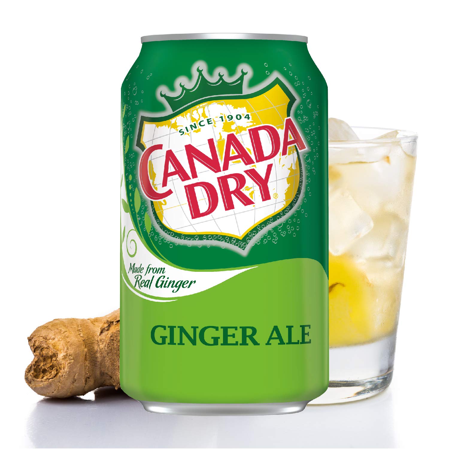 CANADA DRY Ginger Ale 355ml 12er Pack