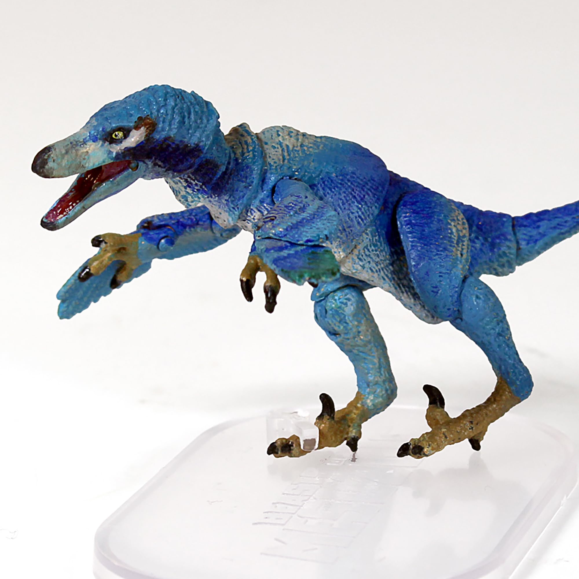 ヴェロキラプトル　限定版　BEASTS OF THE MESOZOIC Amazon.co.jp: Everything Dinosaur Beasts of The Mesozoic