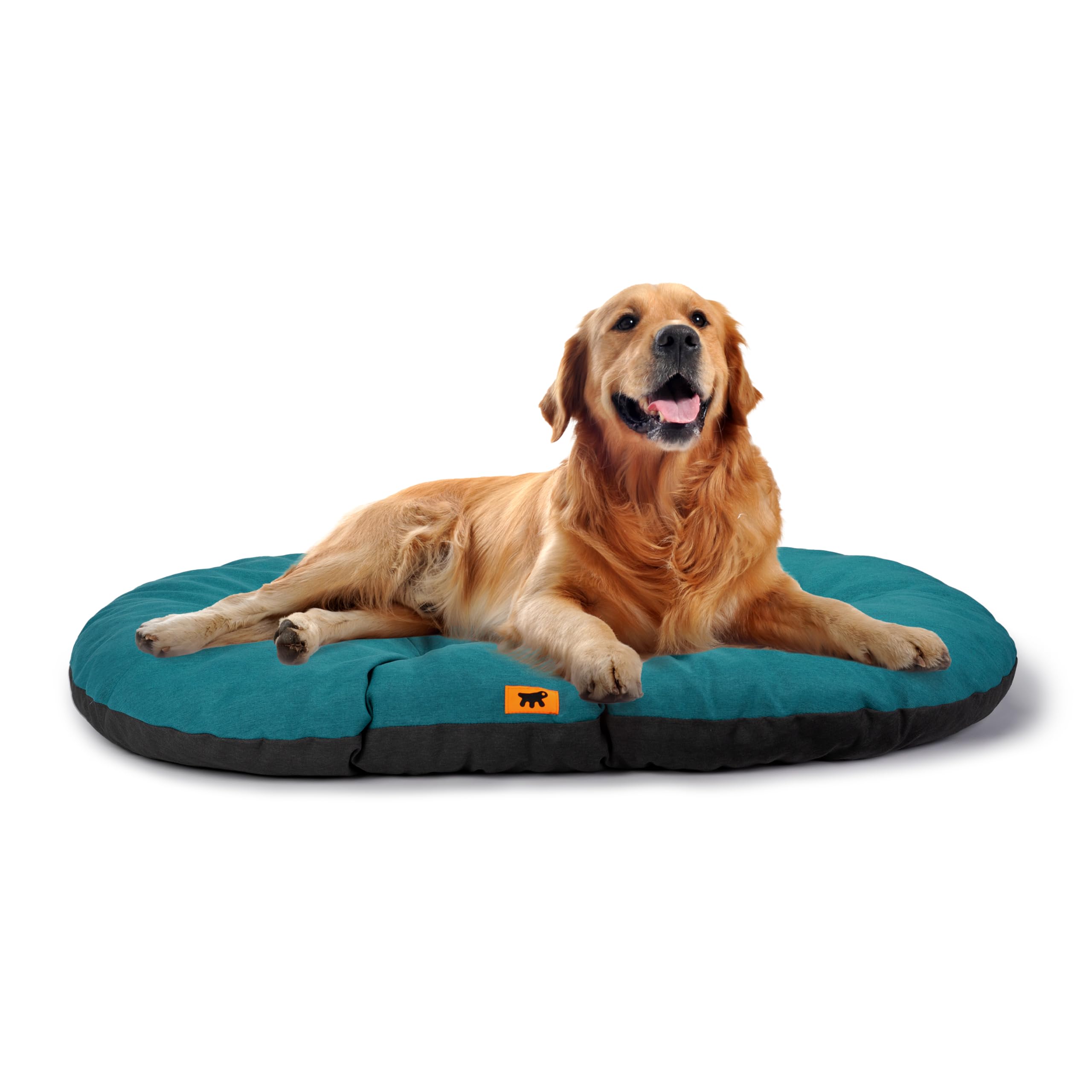 Ferplast Cuccia Cane Relax, Cuscino per cani di taglia grande, Cuccia Gatto, Tappetino per cucce e auto -Lavabile - in Cotone con Soffice Imbottitura, 85 x 55 cm. Turchese