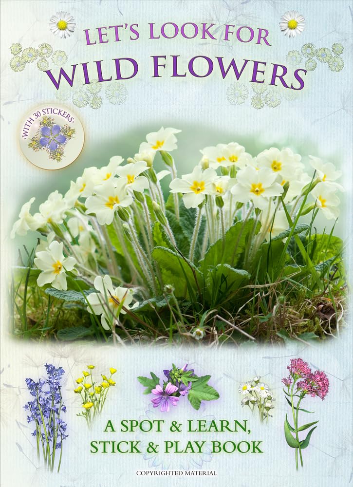 Let's Look For Wild Flowers: A Natural History Activity Book By Andrea Pinningt