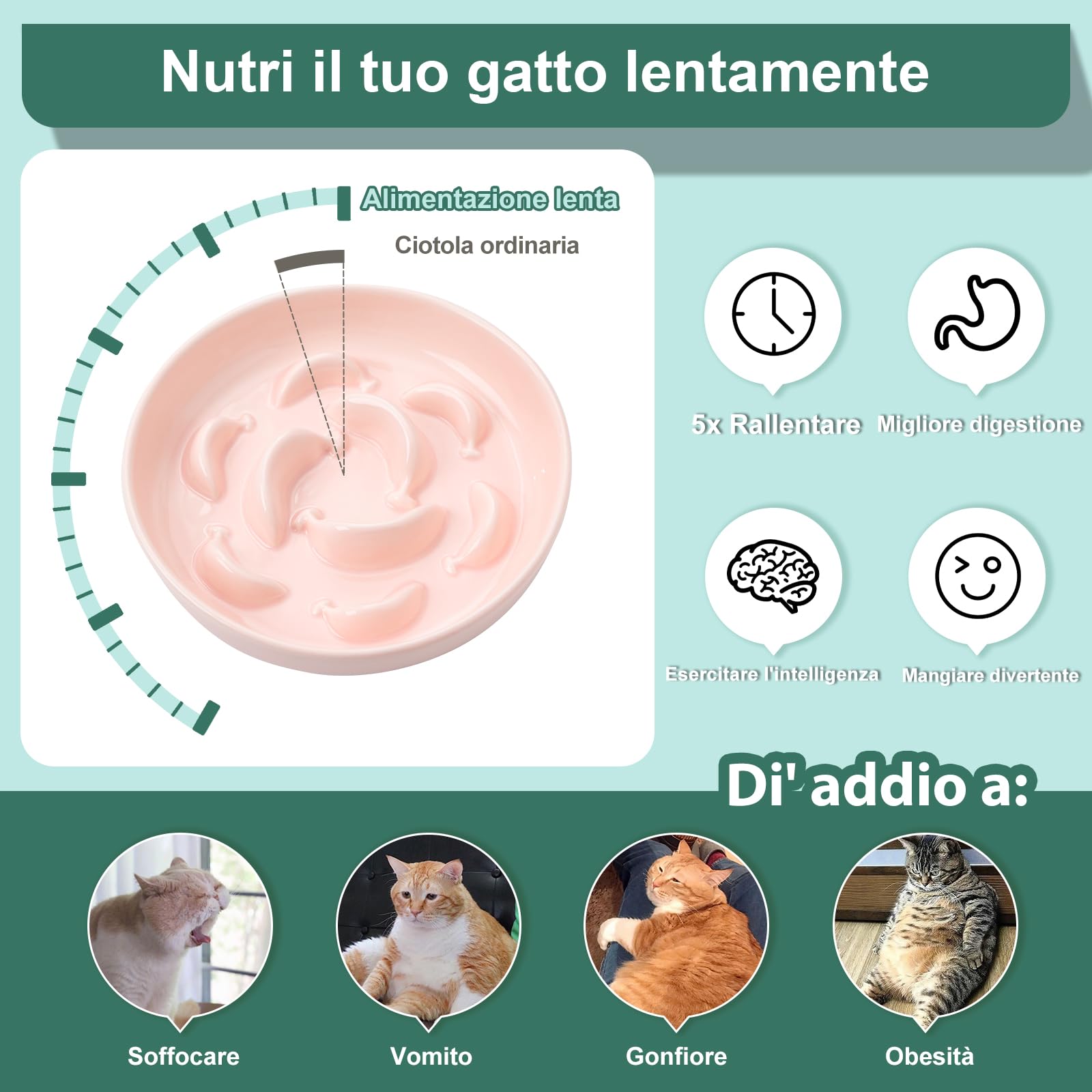 Ciotola Anti Ingozzamento Gatto Ceramica Alimentazione Lenta Pastello Lavabile in Lavastoviglie Rosa Chiaro 16x3 cm