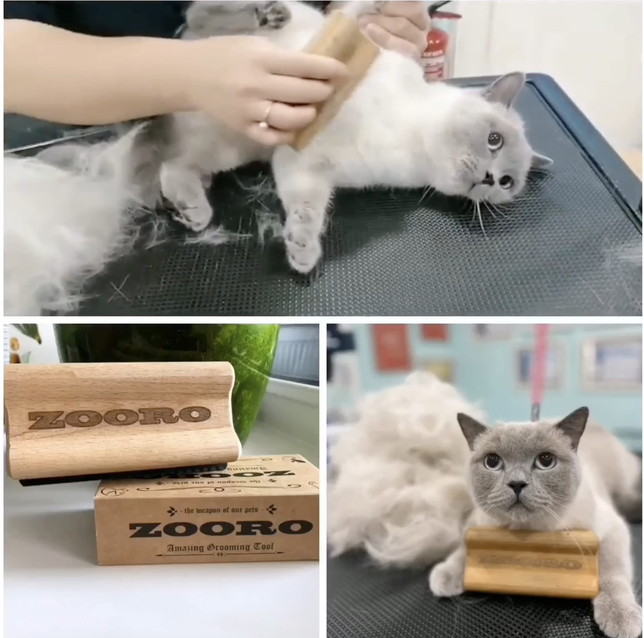 Amazon.co.jp: 猫 毛玉対策 ZOORO ゾログルーミングコーム ノーマル