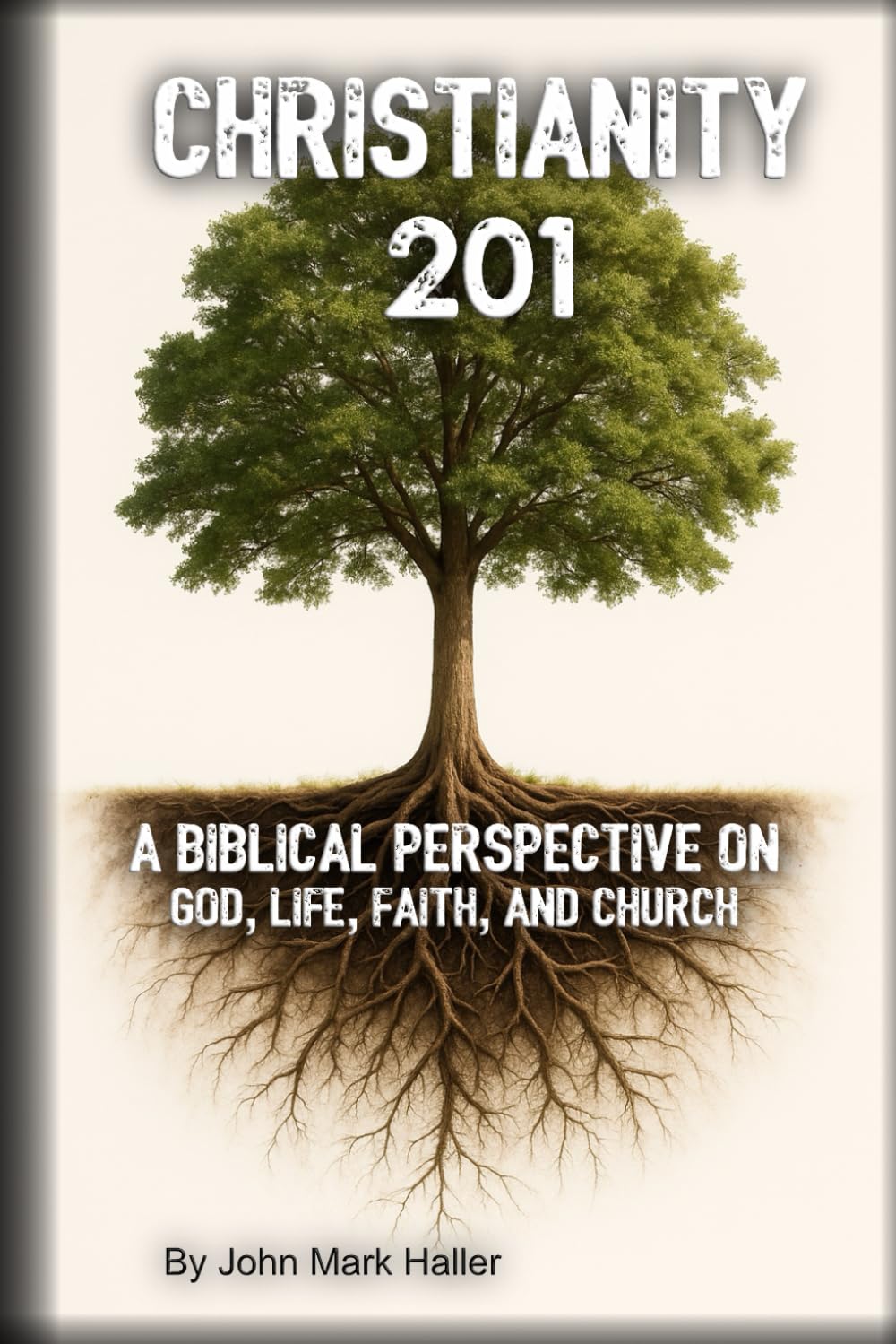 Christianity 201: A Biblical Perspective On God, Life, Faith, And Church