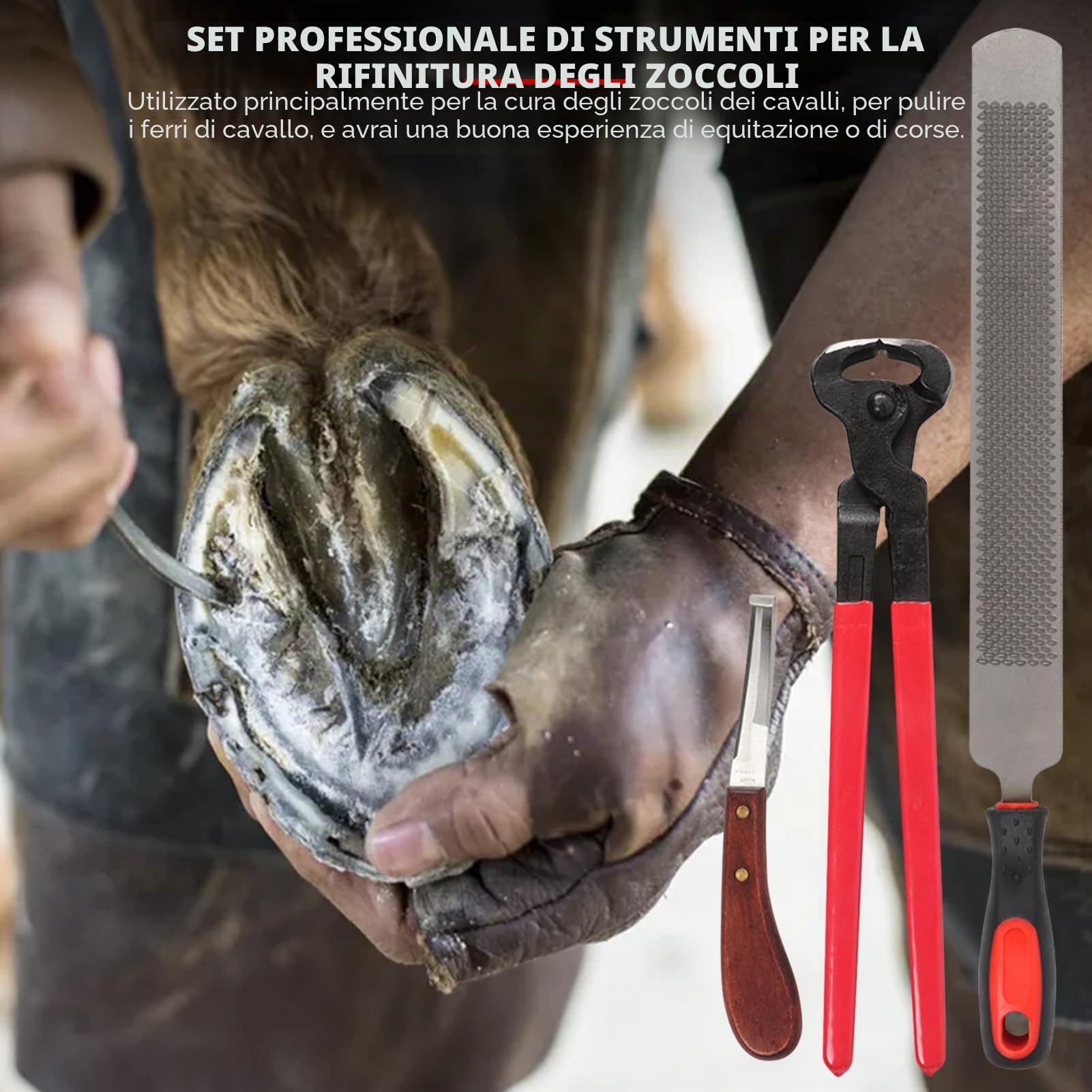 Kit Attrezzi per rifinitura Zoccoli Maniscalco per Cavalli, Attrezzi Professionali per rifinitura Zoccoli Cavalli, cesoie in Metallo, tronchesi per Zoccoli da Maniscalco