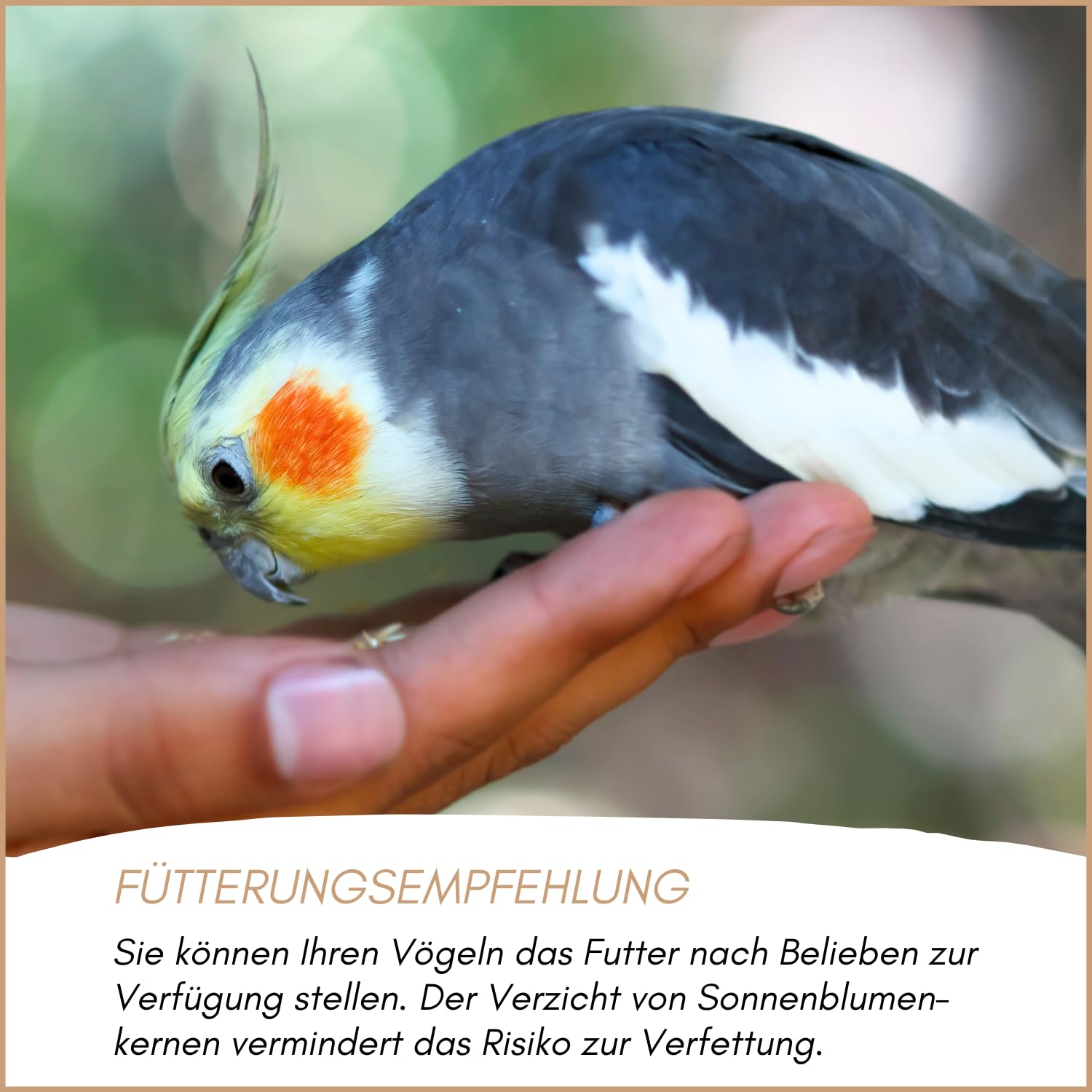 Supravit Vogelfutter Großsittiche Spezial 25kg - leicht bekömmliches Sittich Futter ohne Sonnenblumenkerne I schmackhaftes Alleinfutter für Ziervögel & Papageien